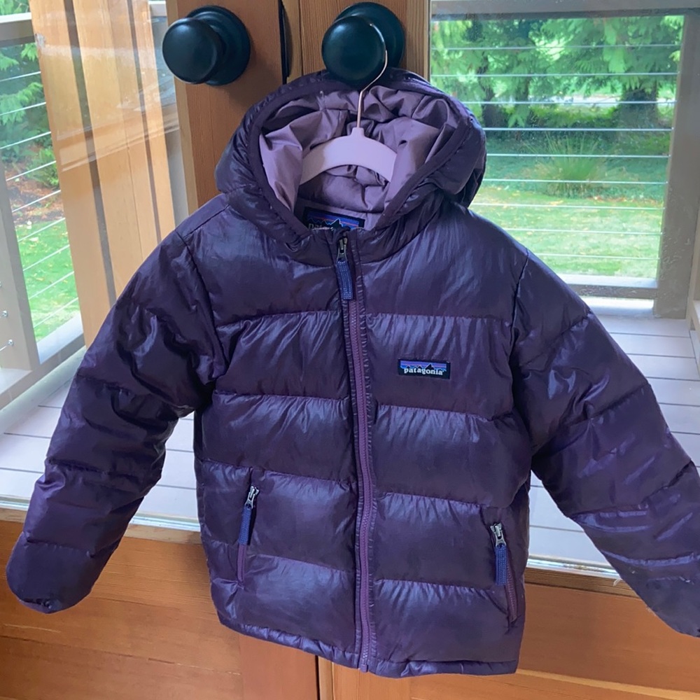 Patagonia Hi-loft down sweater hooded jacket